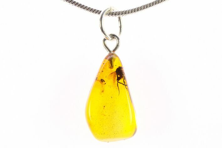 Polished Baltic Amber Pendant (Necklace) - Contains Fly! #288779